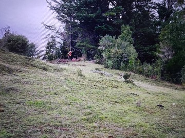 Venta / Parcela / Puerto Montt