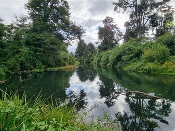 Venta / Parcela / Puerto Montt