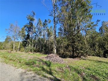 Venta / Parcela / Puerto Montt