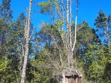 Venta / Parcela / Puerto Montt