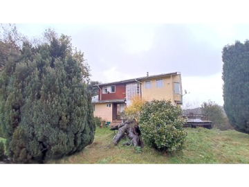 Imagen 13