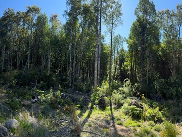 Un pulmón verde a minutos de la ciudad