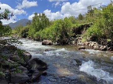 Imagen 16