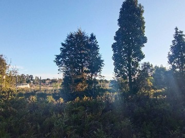 Venta / Parcela / Puerto Montt