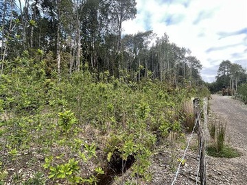 Venta / Parcela / Puerto Montt