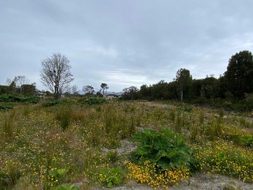 Venta / Parcela / Puerto Montt