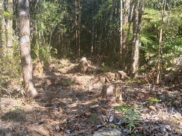 Imagen 5