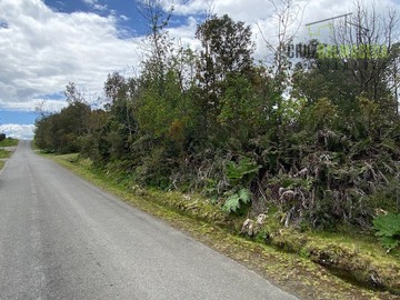 Imagen 8