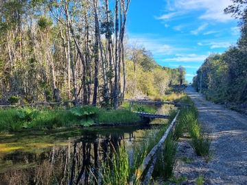 Venta / Parcela / Puerto Montt
