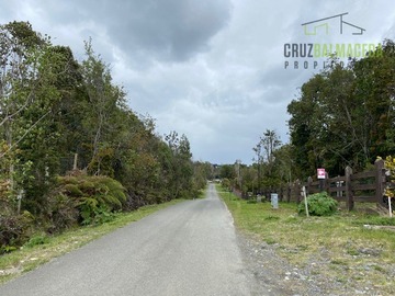 Imagen 10