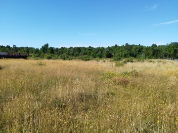 Venta / Parcela / Puerto Montt
