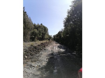 Imagen 5