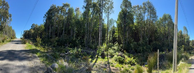 Un pulmón verde a minutos de la ciudad