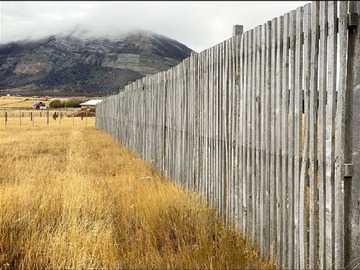 Imagen 12