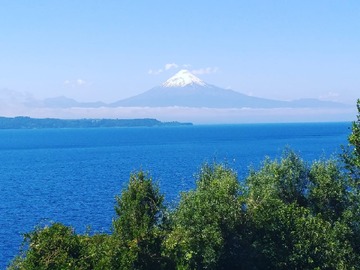 Venta / Parcela / Puerto Octay