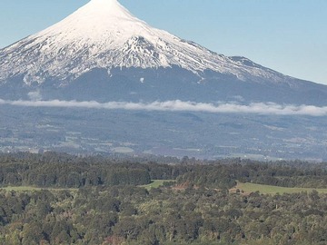 Venta / Parcela / Puerto Octay