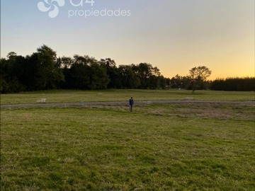 Imagen 9