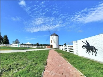 Venta / Parcela / Puerto Octay