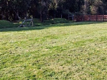 Venta / Parcela / Puerto Octay