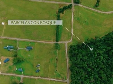 Imagen 6