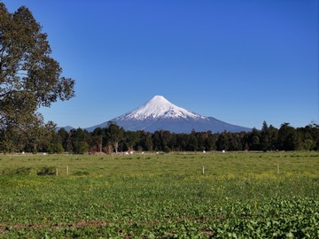 Venta / Parcela / Puerto Octay