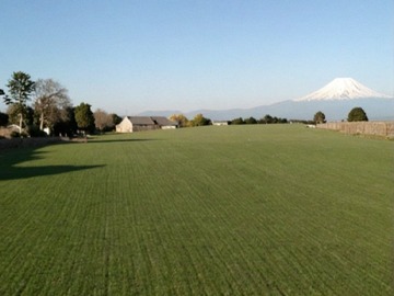 Venta / Parcela / Puerto Octay