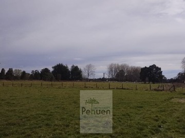 Imagen 7
