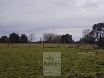 Imagen 6