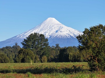 Venta / Parcela / Puerto Octay