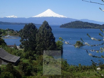 Venta / Parcela / Puerto Octay