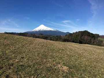 Venta / Parcela / Puerto Octay