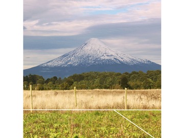 Venta / Parcela / Puerto Octay