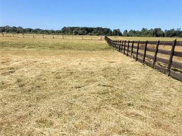 Venta / Parcela / Puerto Octay