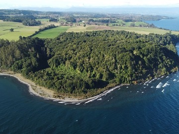 Venta / Parcela / Puerto Octay