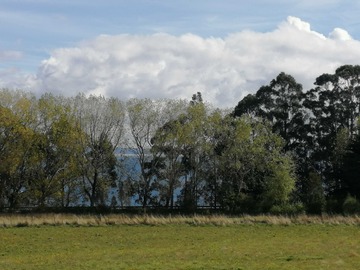 Imagen 9