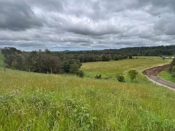 Venta / Parcela / Puerto Varas