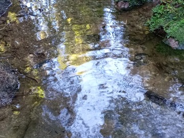 Imagen 9