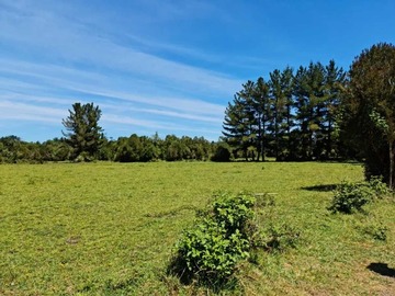 Venta / Parcela / Puerto Varas