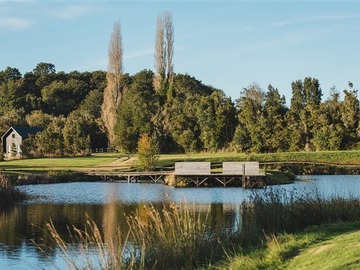 Venta / Parcela / Puerto Varas