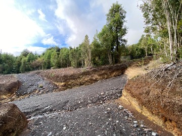 Imagen 13