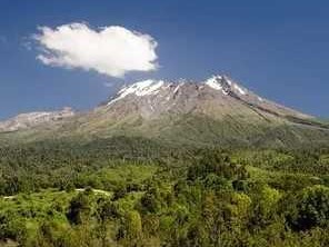 Venta / Parcela / Puerto Varas