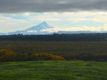 Venta / Parcela / Puerto Varas