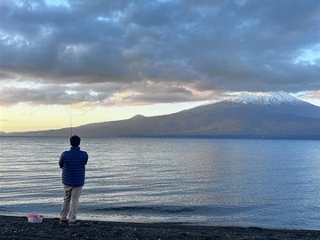 Venta / Parcela / Puerto Varas