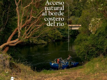 Imagen 9