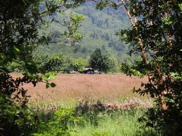 Imagen 7