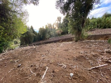 Imagen 14
