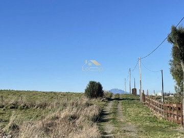 Imagen 7