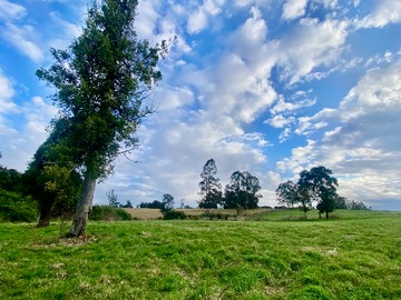 Venta / Parcela / Puerto Varas