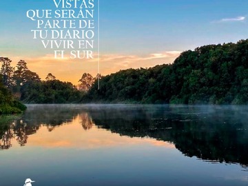 Imagen 17