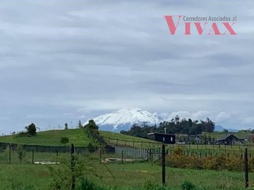 Imagen 8